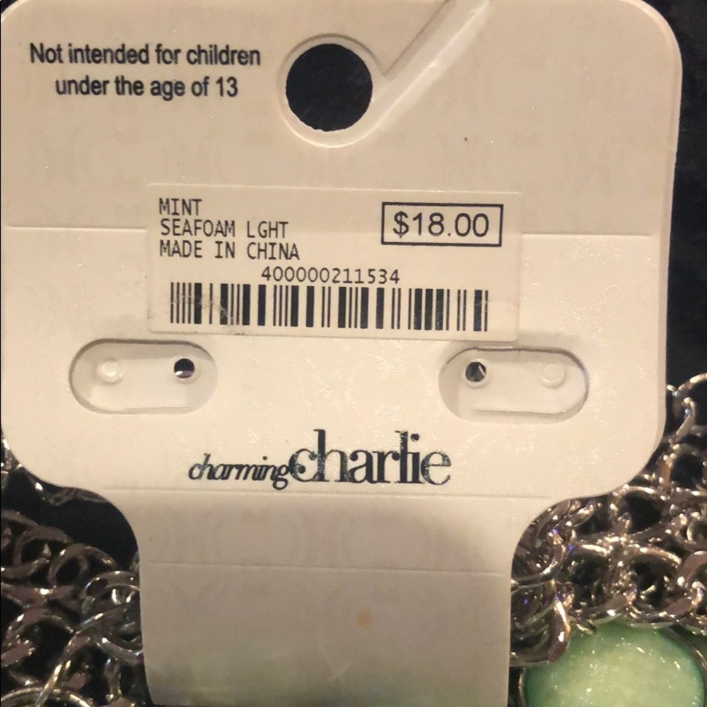 3/$10 Charming Charlie Necklace - Picture 3 of 3